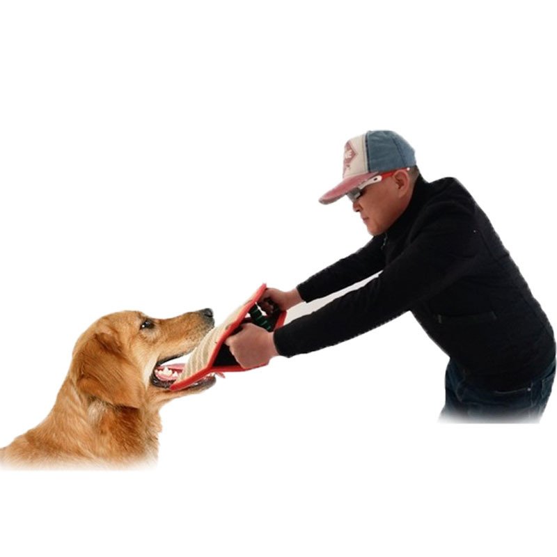 e90f4f9d d10e 410e 8a19 b6cbc4c55765.jpg e90f4f9d d10e 410e 8a19 b6cbc4c55765.jpg
